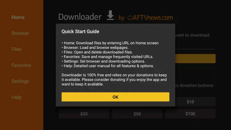 Downloader Quick Start Guide on Firestick, press OK to reach the URL box